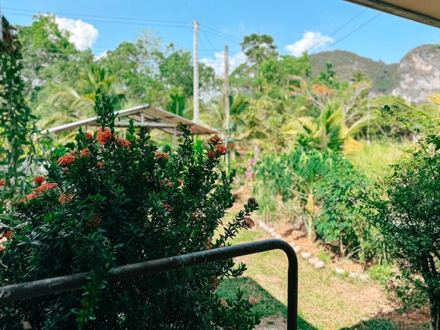 Ao Luek Homie Homestay Krabi town Exterior foto